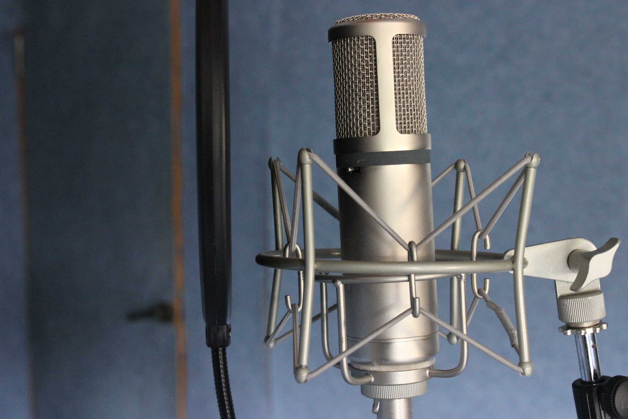 Balso įrašymas garso įrašų studijoje "Dominanta"