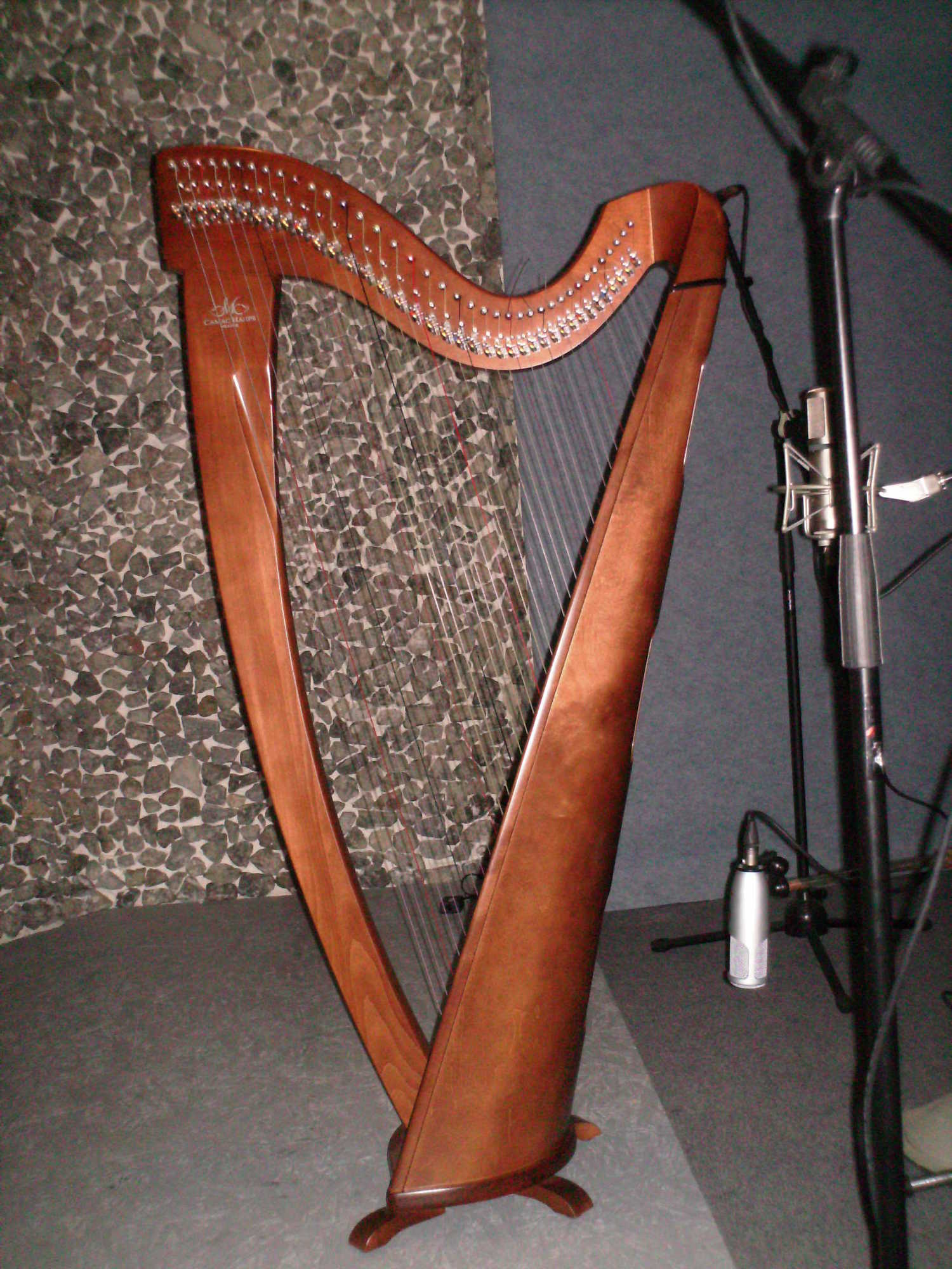 Arfos įrašymas garso įrašų studijoje "Dominanta"